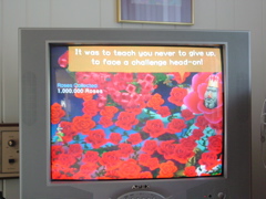 DSC00010.JPG
